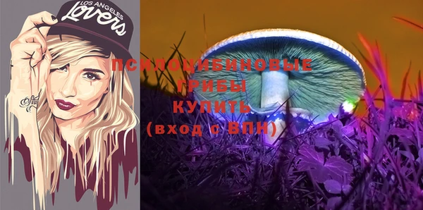гидропоника Армянск