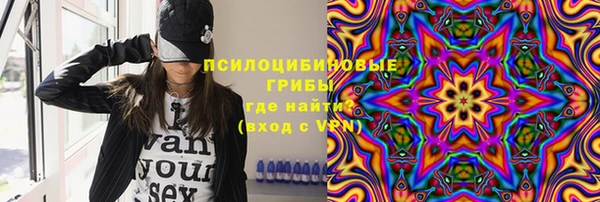 apvp Аркадак